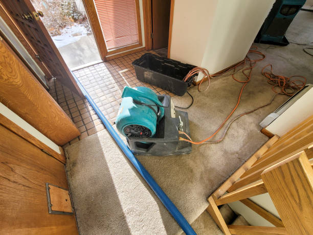Best Mold removal after water damage  in Dunnavant, AL