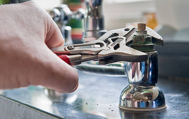 Best Mold removal after water damage  in Dunnavant, AL