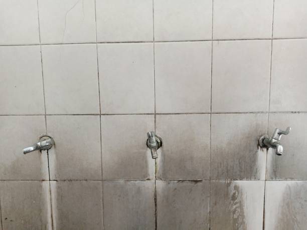 Best Water damage contractors near me  in Dunnavant, AL