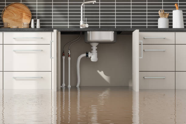 Best Basement water damage restoration  in Dunnavant, AL