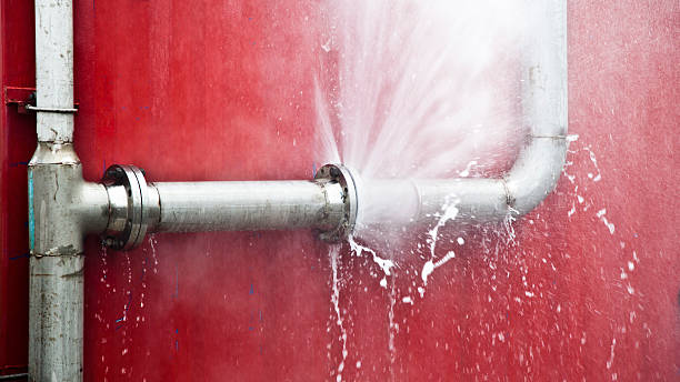 Best Water damage repair service  in Dunnavant, AL