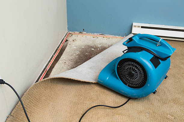 Best Sewage cleanup and water damage restoration  in Dunnavant, AL